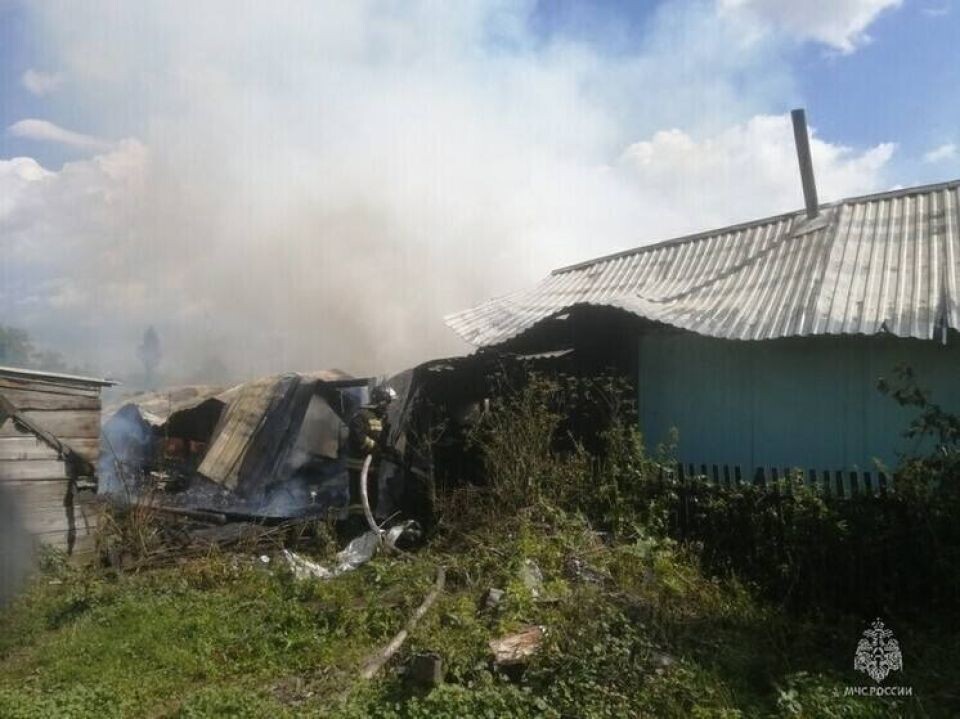    . Источник: УФНС России по Алтайскому краю