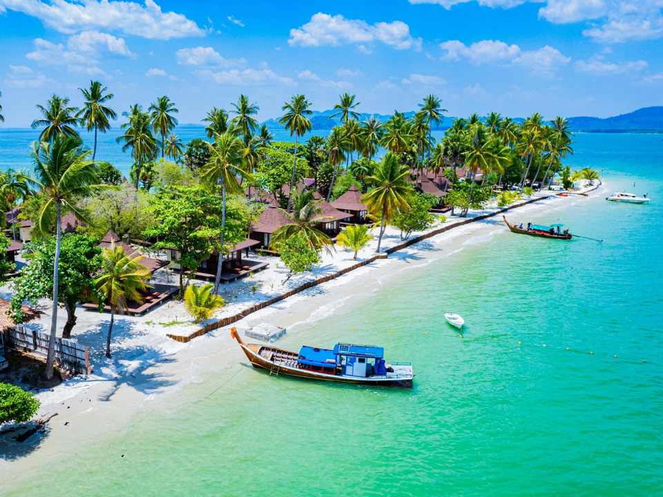 apiguide / Shutterstock.com
