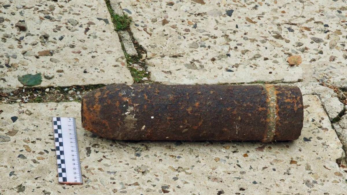    Фото: Московская областная противопожарно-спасательная служба / Telegram