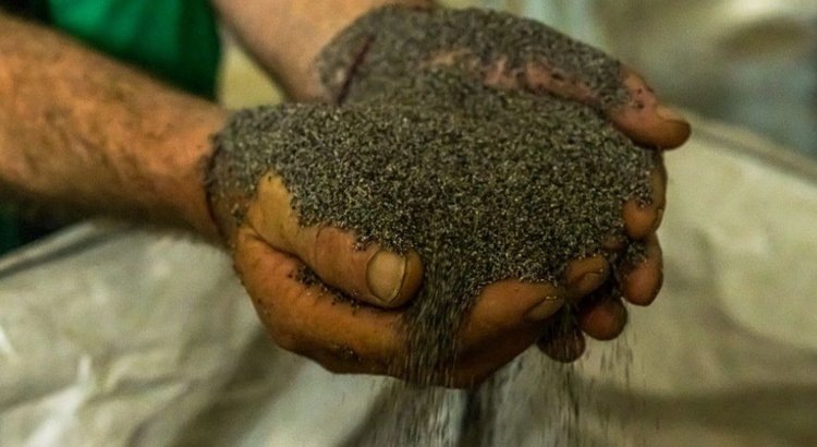    Фото: Департамент сельского хозяйства Брянской области