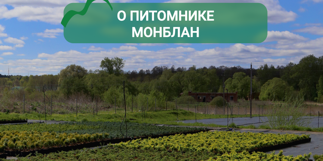 Монблан — партнер профессионалов зеленой области