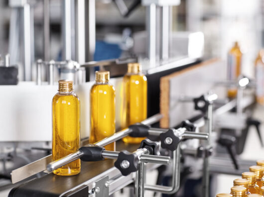    производство растительного масла // фото: freepik.com