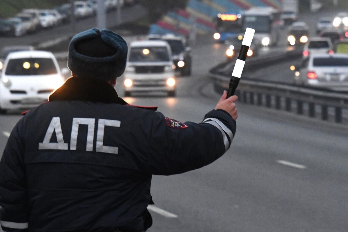    Фото: Виталий Аньков Источник: ria.ru