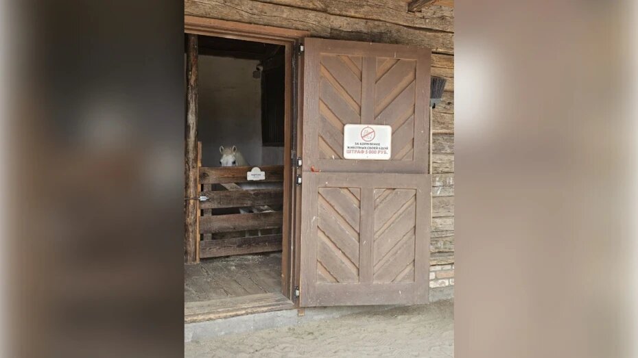    Автор фото: 36.fsvps.gov.ru