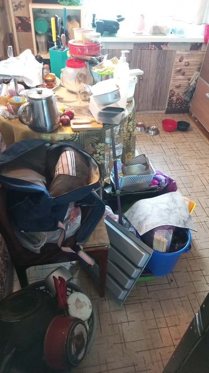 Дас ист погром