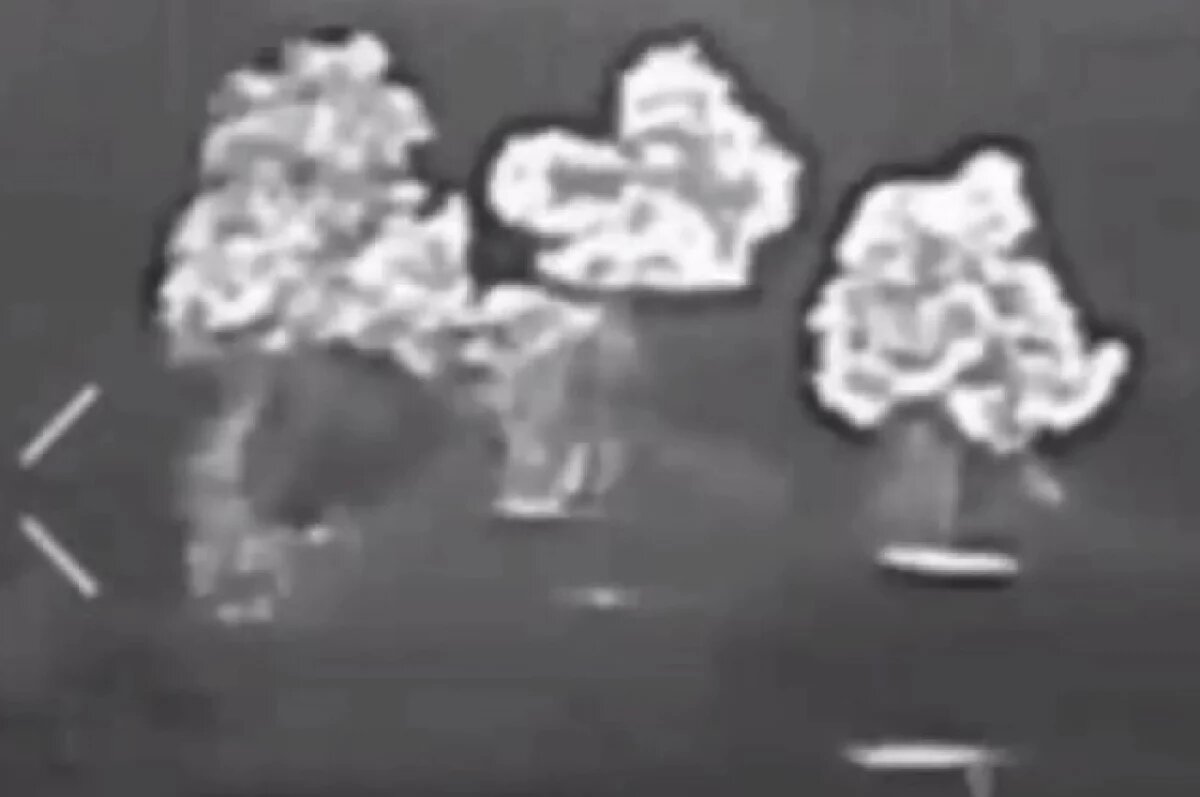    «Солнцепеки» сожгли позиции бригады ВСУ в лесу у харьковского села Хатнее