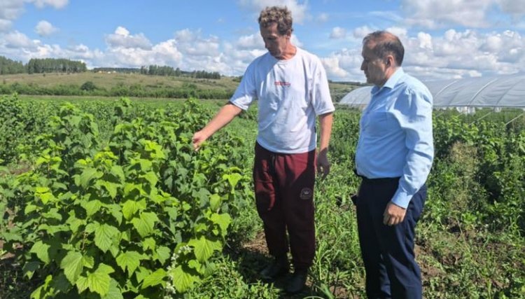    Фото: Минсельхозпрод Республики Татарстан