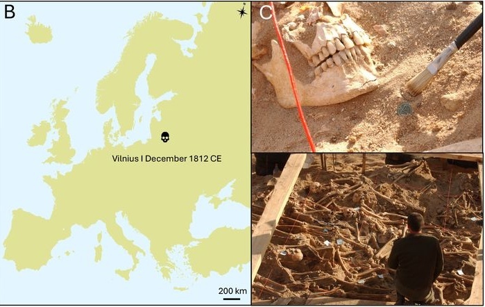 Справа - фотографии, сделанные во время раскопок захоронения наполеоновских солдат. На верхней фотографии показана находка пуговицы от мундира. На нижней фотографии общий вид могилы.