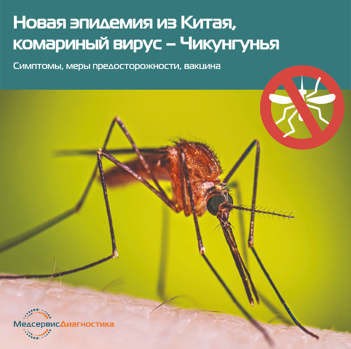 Вирус – Чикунгунья