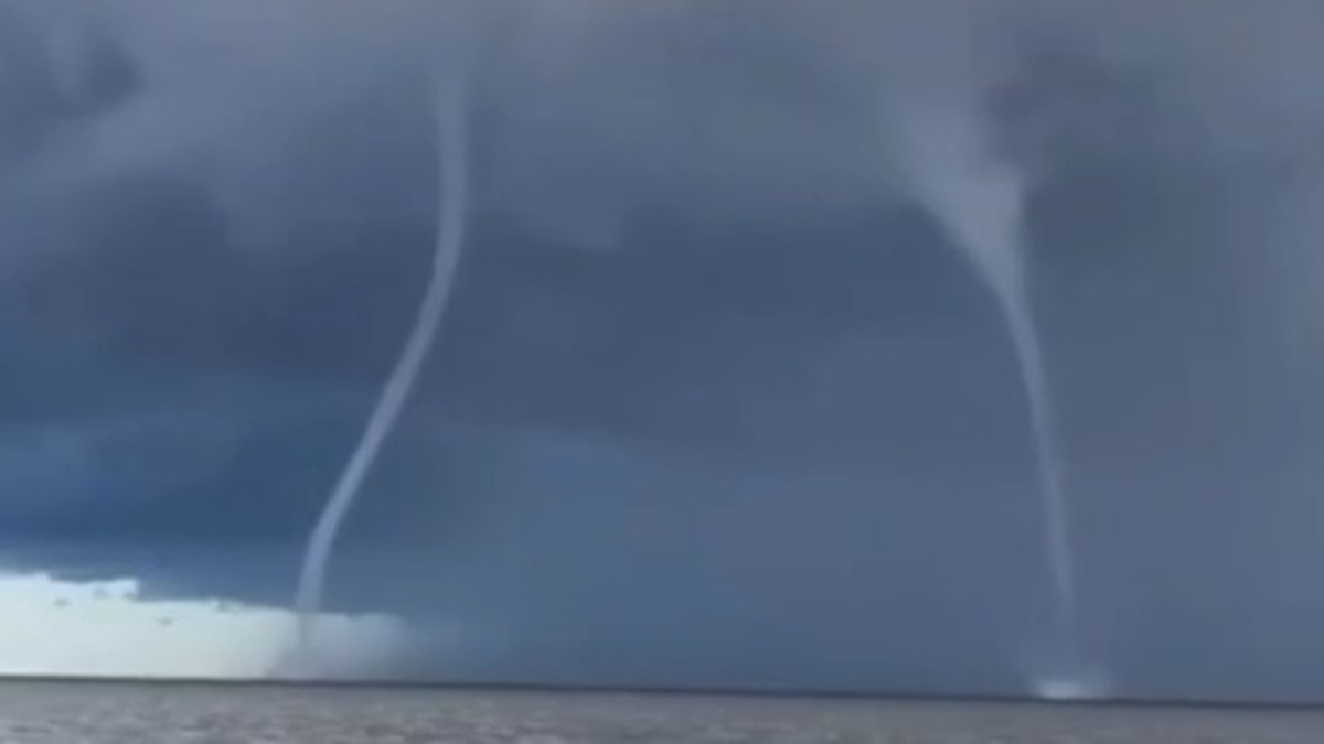    Фото: Скриншот с видео / Комсомольская правда / Telegram