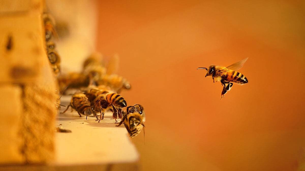    Фото: Shutterstock