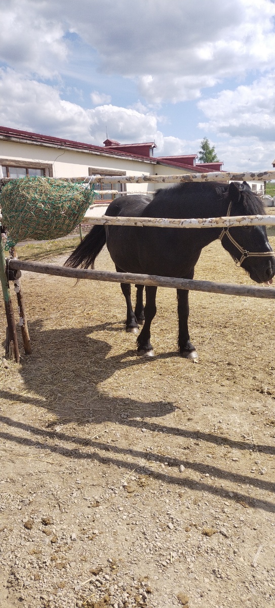 Конный двор села Монастырщино Тульской области 