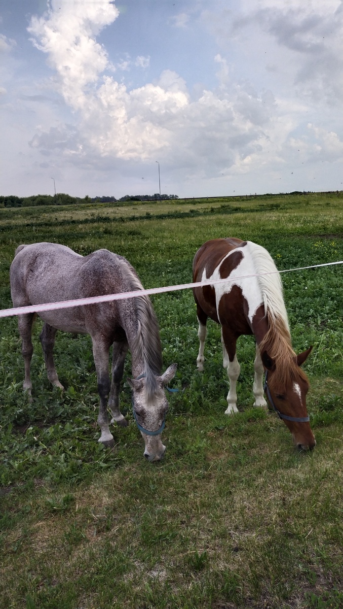 В селе Монастырщино Тульской области 