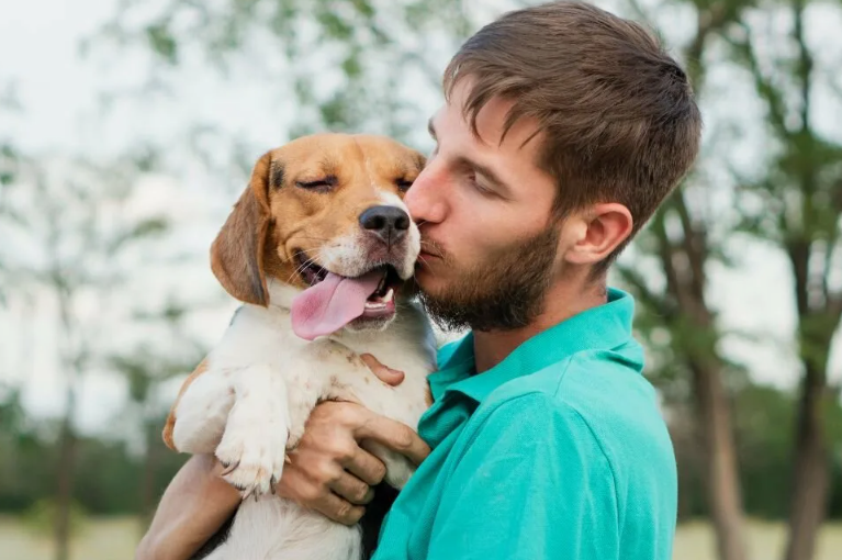 Собака слышит сердце, а не слова.