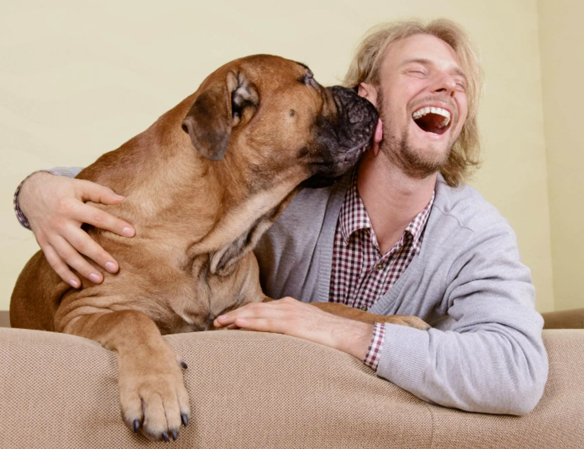 Где собака — там дом.