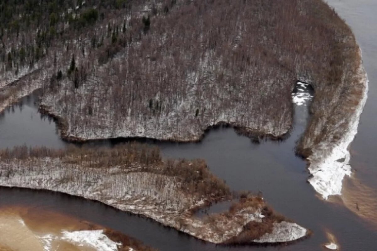    В ЯНАО продолжаются поиски женщины, пропавшей при сборе ягод
