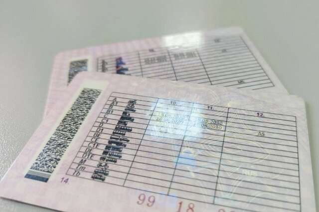    У водителя была заготовленная легенда на случай остановки ДПСниками. Фото: АиФ/ Евгения Хомицкая