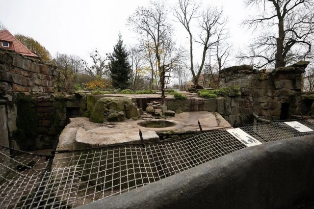   Фото из архива Калининград.Ru