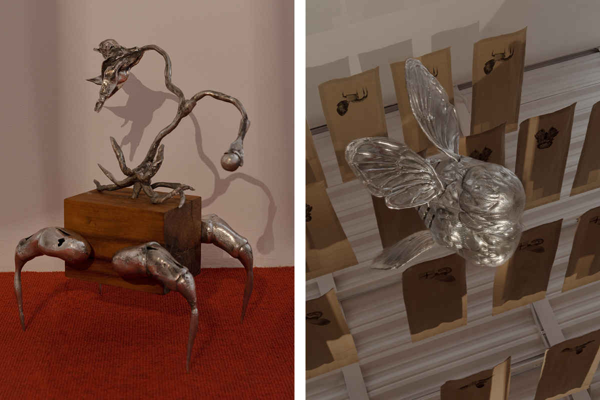    Экспозиция выставки Paranormal Phenomena