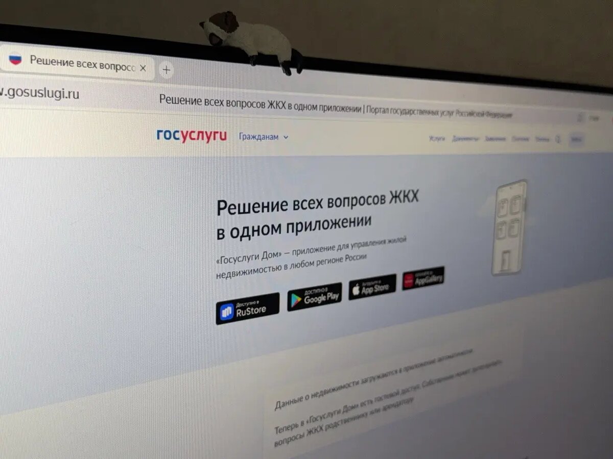    Госуслуги Дом. Фото: Мойка78