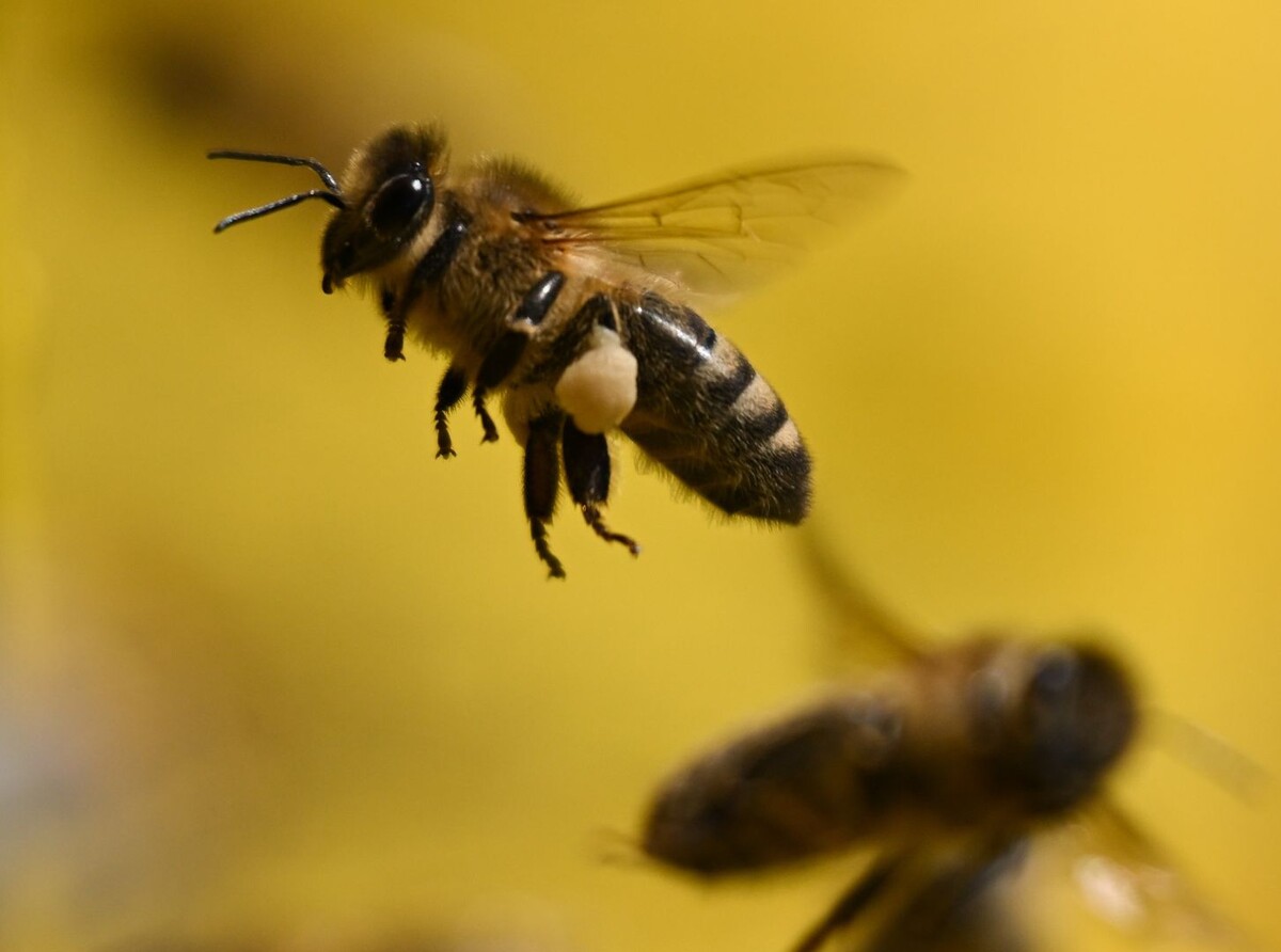     / Источник: © Global Look Press