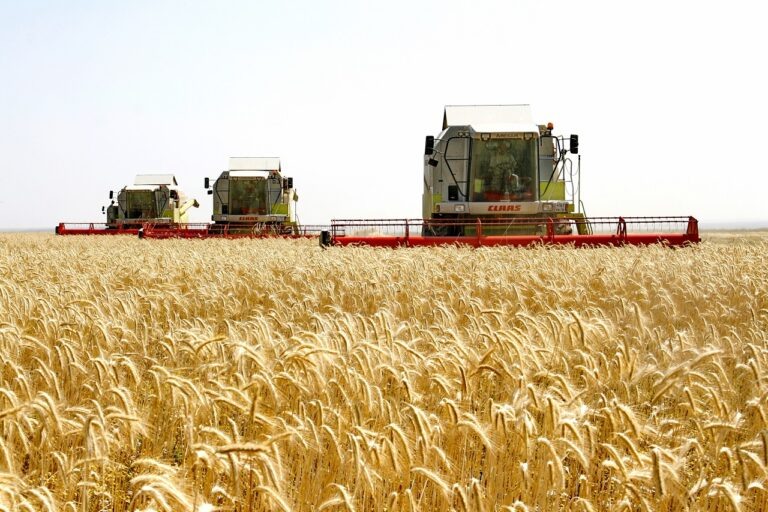    Лидер рейтинга комбайнёров Оренбуржья намолотил 29,8 тысячи центнеров Алла Черкесатова