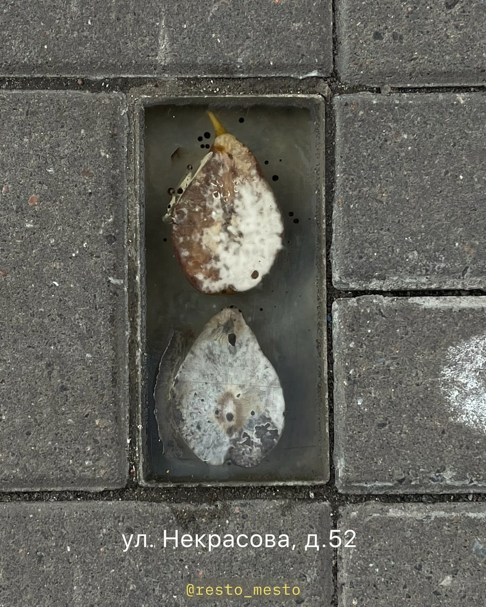 Груша в асфальте, арт объекты СПб в дорожной плитке