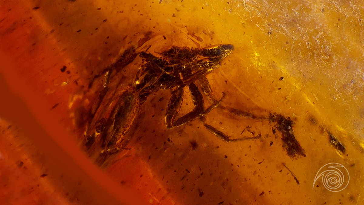 Реалистично, но жутковато (фото автора)