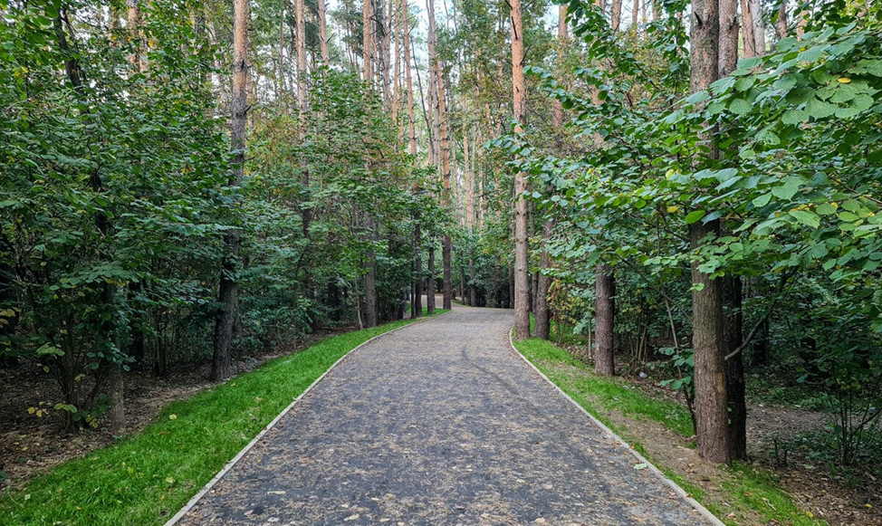 Парк в Видном