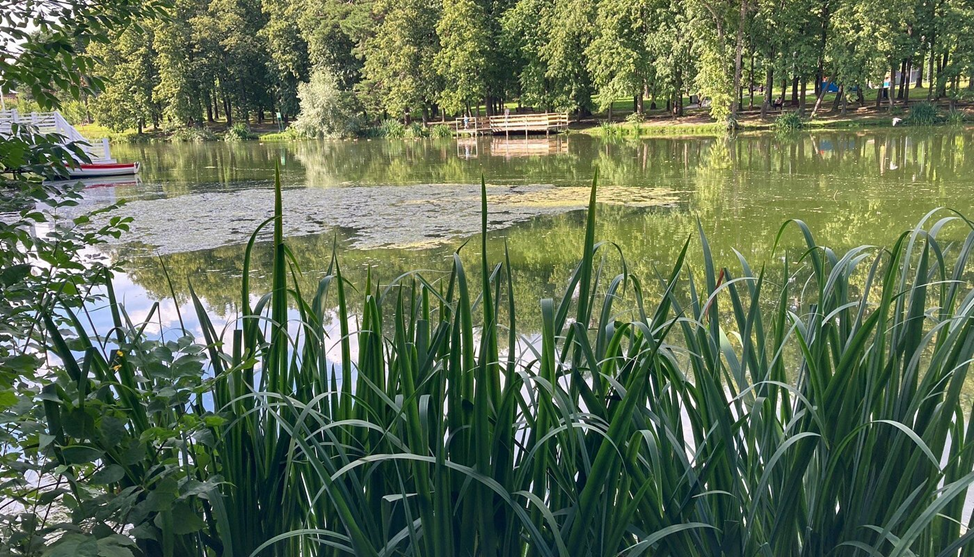 Расторгуевсикй парк