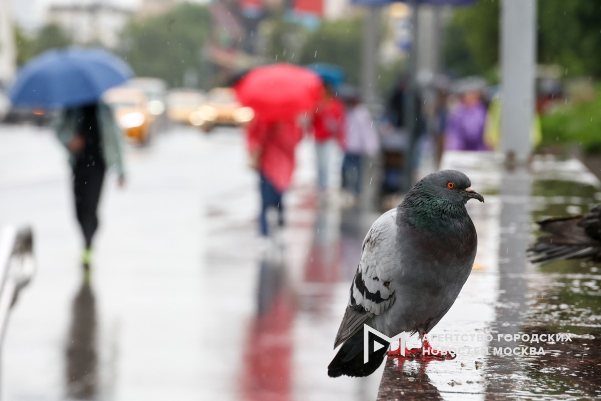 Фотограф: Ярослав Чингаев