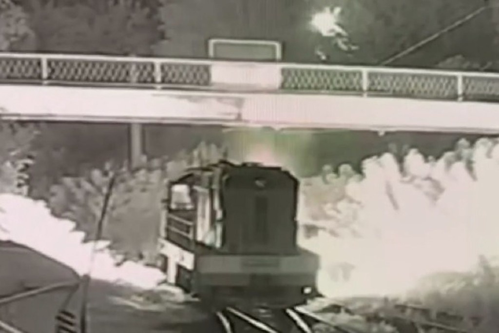    Фото © Telegram / УТ МВД России по ЦФО