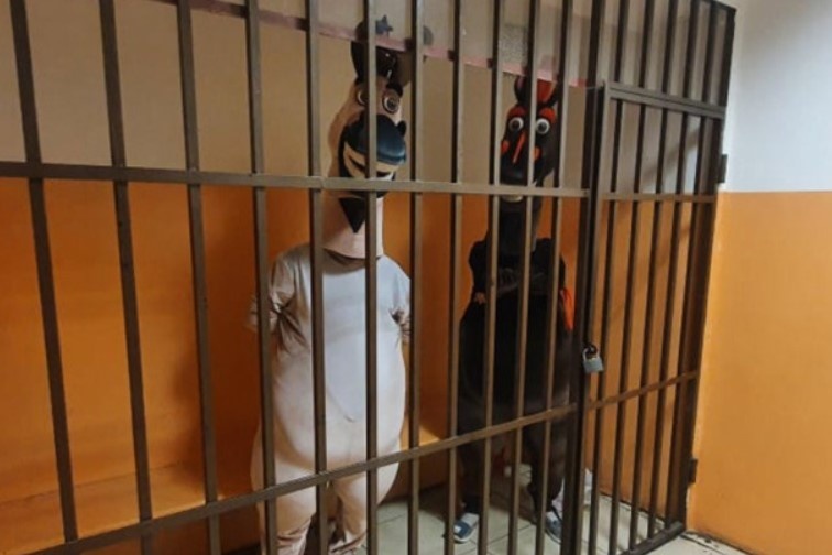    Фото: УМВД по г. Сочи (носит иллюстративный характер)