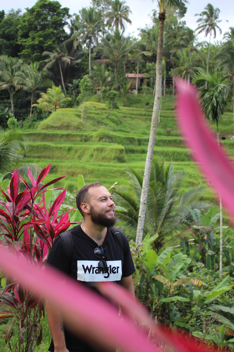 Рисовые поля Убуд