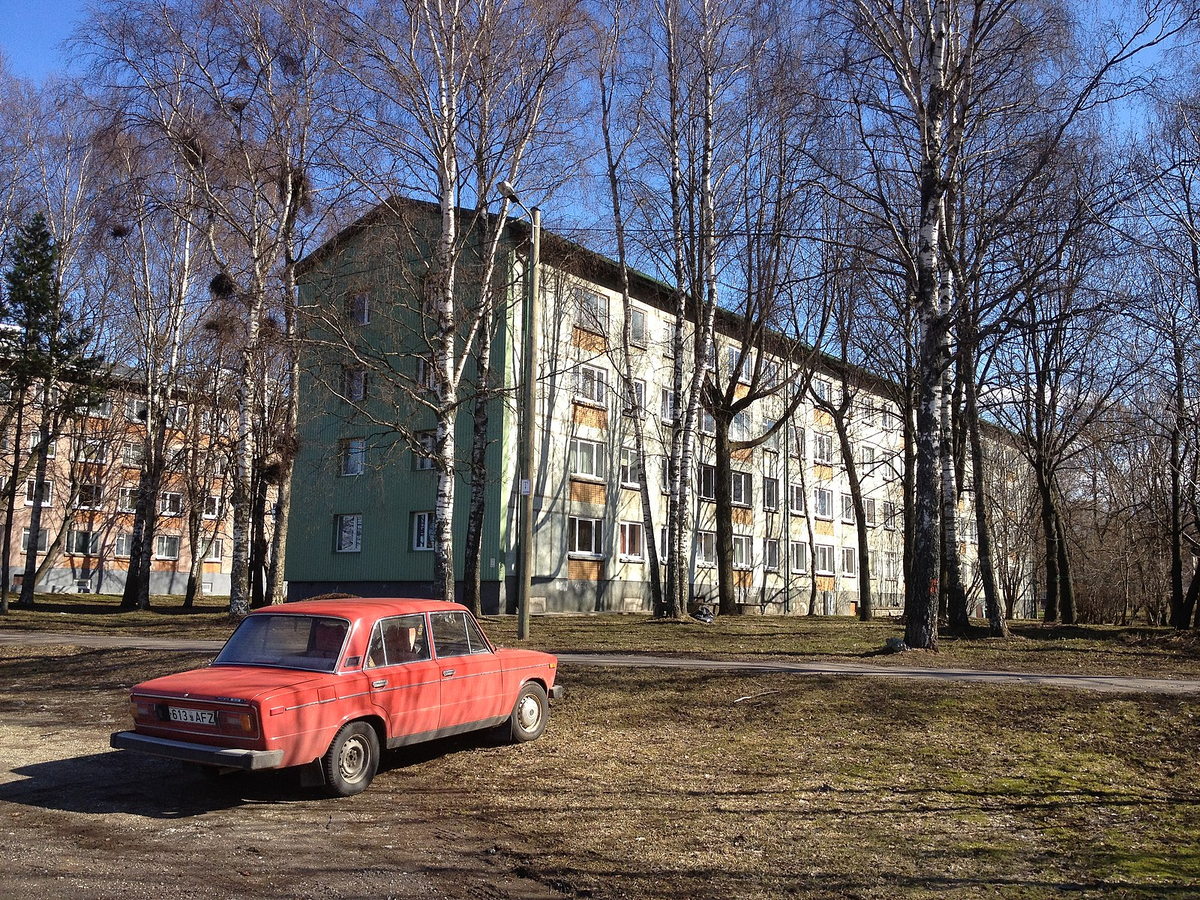 Автор фото: Rob Tinsley / Wikimedia