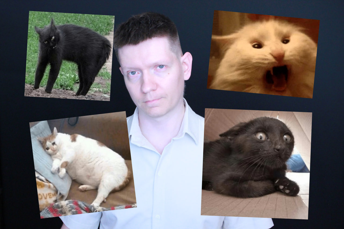 Вова и типы мотиваций — наглядно