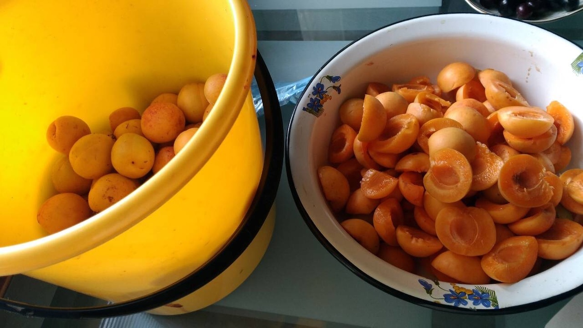 Триумф северный, 1 августа 2019 года