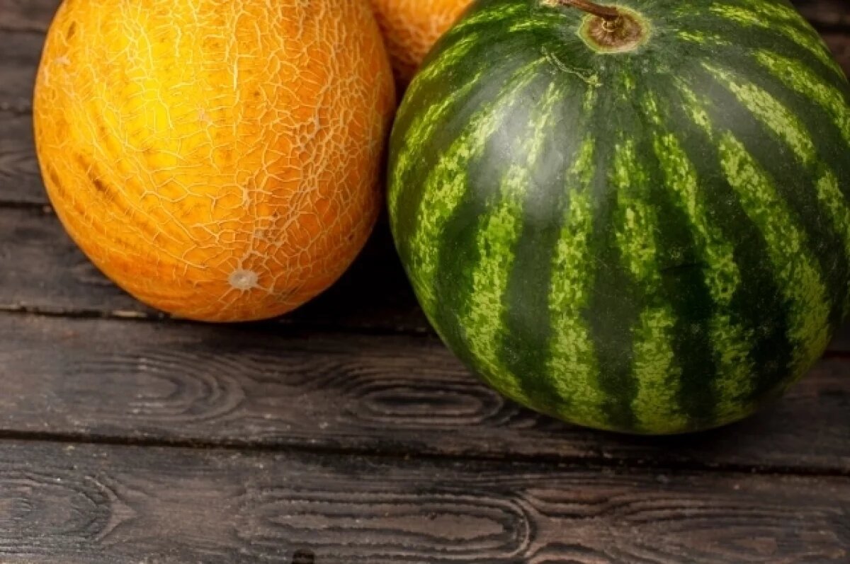    Диетолог Ширшова назвала удачные сочетания арбуза и дыни с другой едой