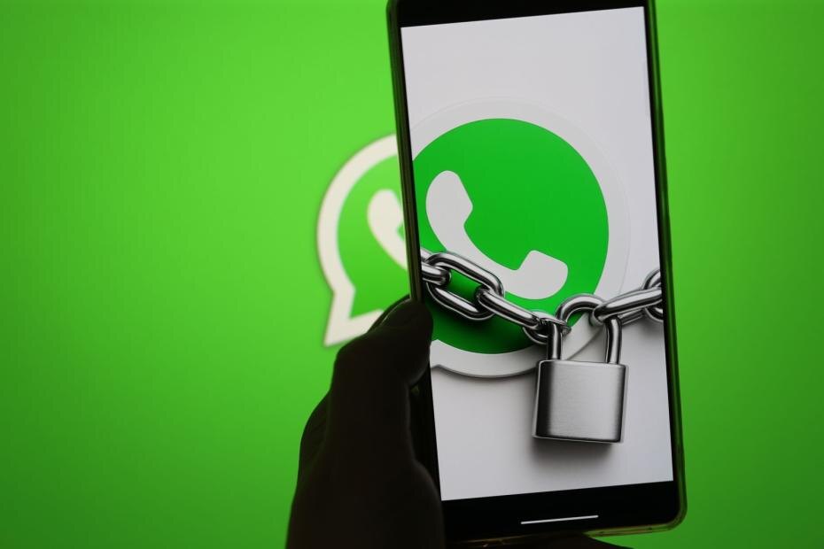    Александра Погиба/NEWS.ru