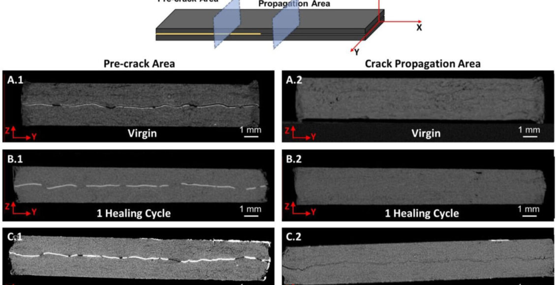    Фото: dr. Mohammad Naraghi/Texas A&M University