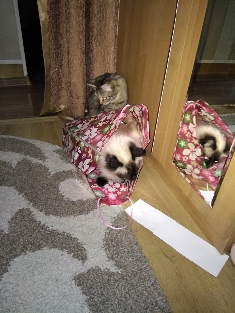 Тимофей и Маруся.