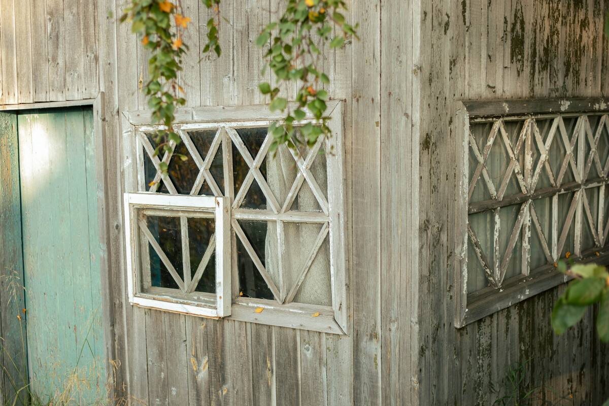 Фото: Александра Берг/НАО24