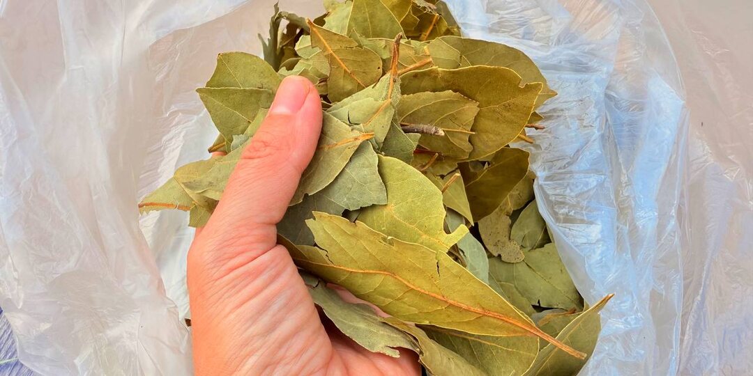 🍃🥗5 универсальных специй, которые нужны на каждой кухне.