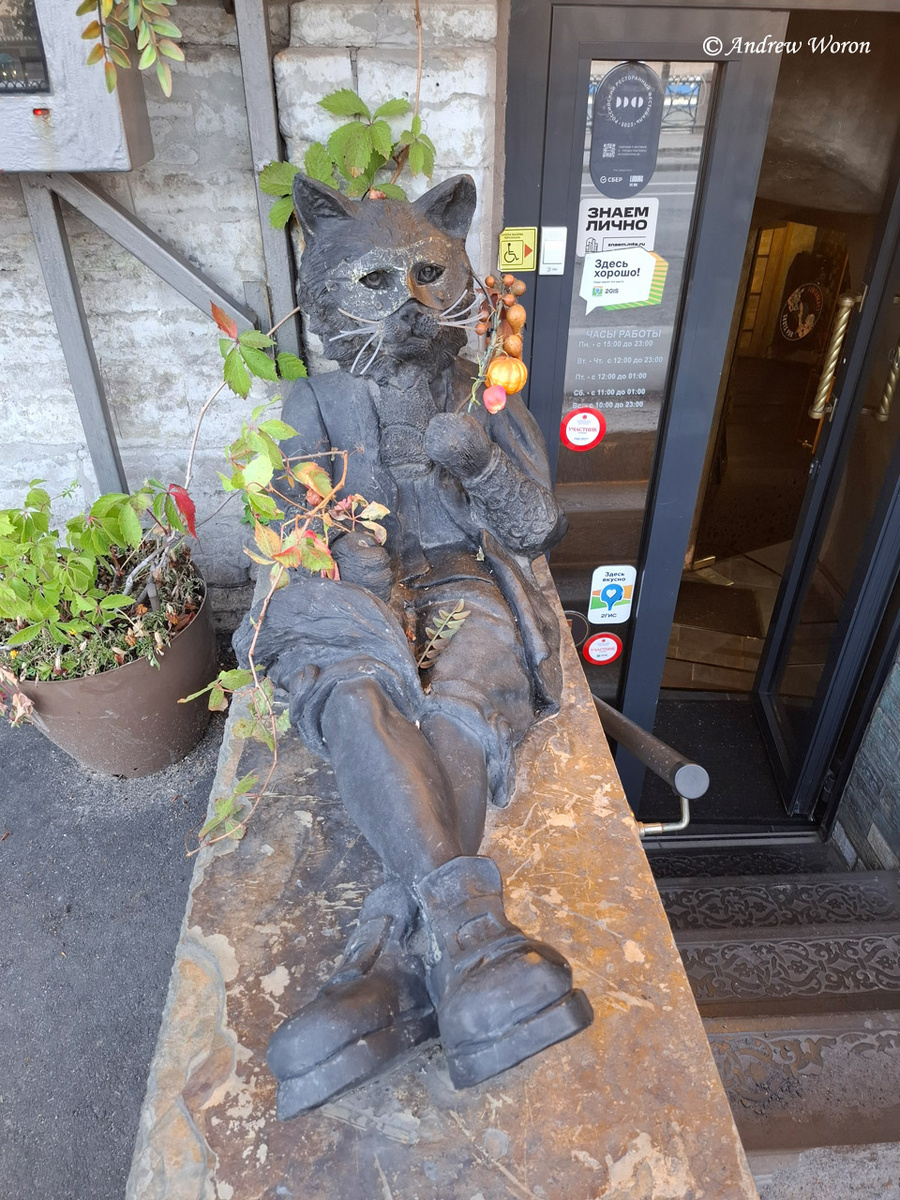 Вас встречают котики