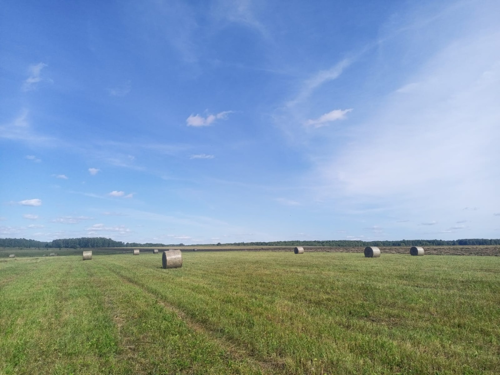    Фото: Сайт правительства Прикамья Ульяна Бажанова