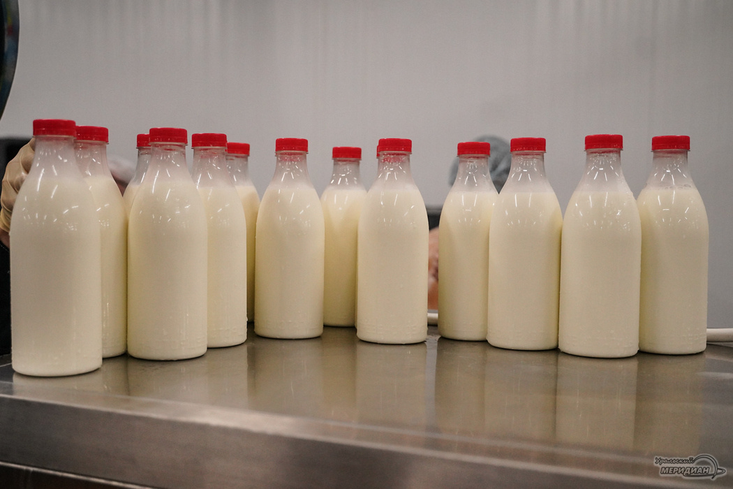    Фото: Лидия Аникина © ИА «Уральский меридиан»