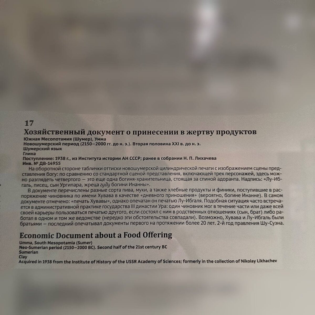 Эрмитаж, Санкт-Петербург; 2025г. 