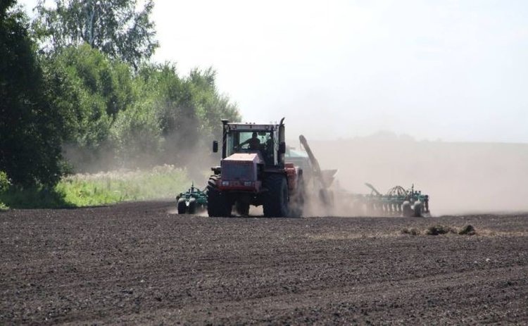    Фото: Администрация Правительства Кузбасса