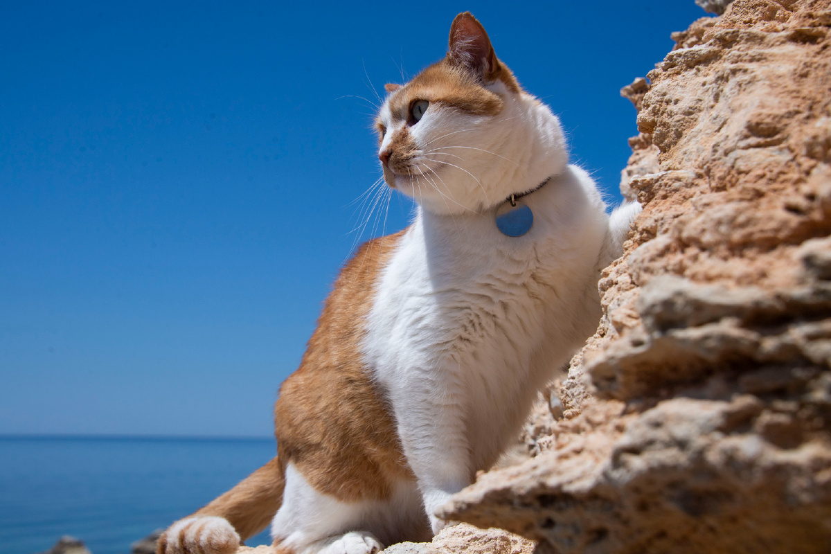 Я везде найду интересные приключения!