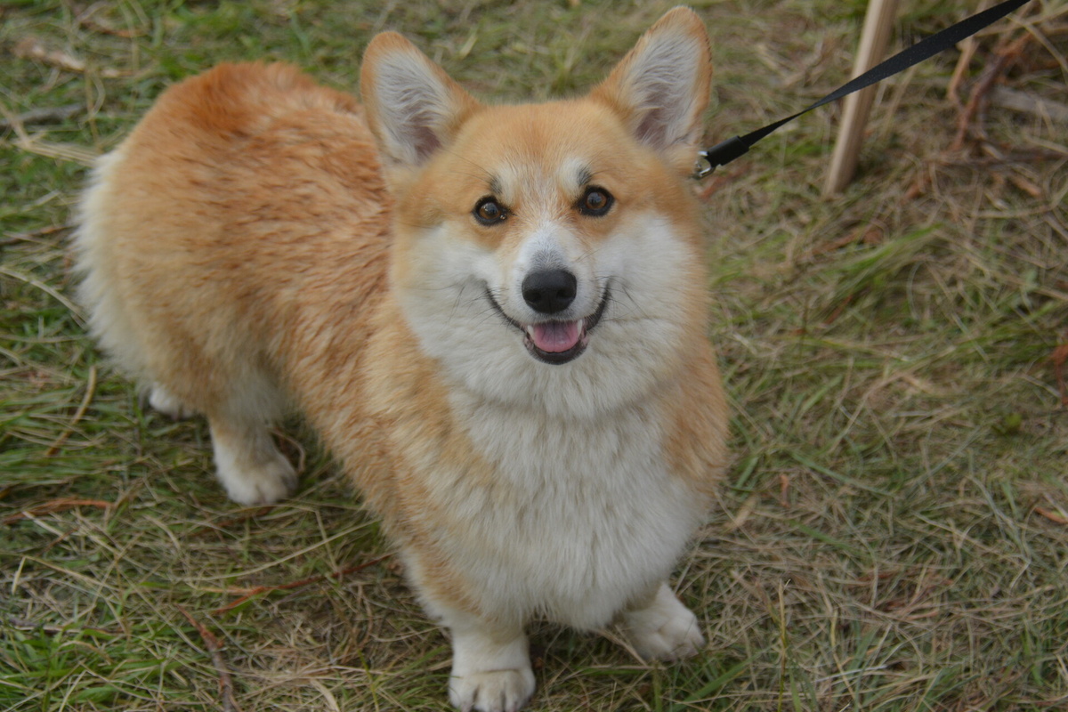 Фото: ПАИ. Фото носит иллюстративный характер